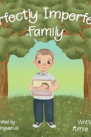 Cover of Perfectly Imperfect Family