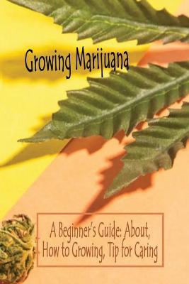 Book cover for Growing Marijuana