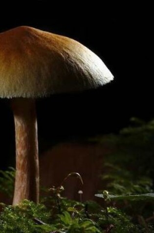 Cover of Mushroom Fungi Fungus Toadstool
