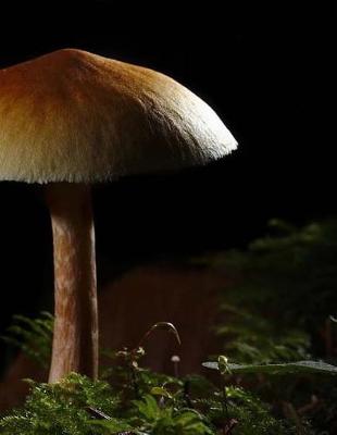 Book cover for Mushroom Fungi Fungus Toadstool
