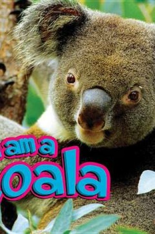 Cover of I Am a Koala