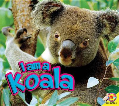 Book cover for I Am a Koala