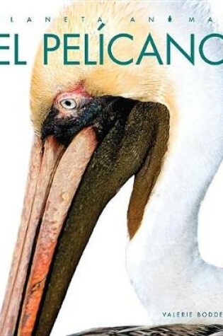 Cover of El Pelícano