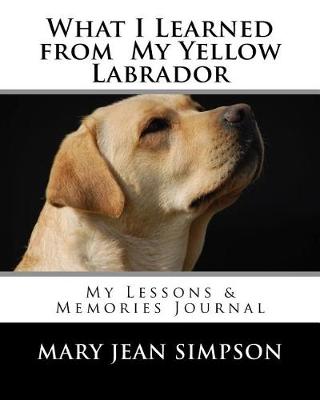 Book cover for What I Learned from My Yellow Labrador