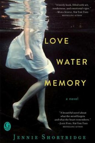Cover of Love Water Memory