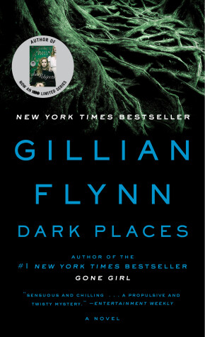 Book cover for Dark Places
