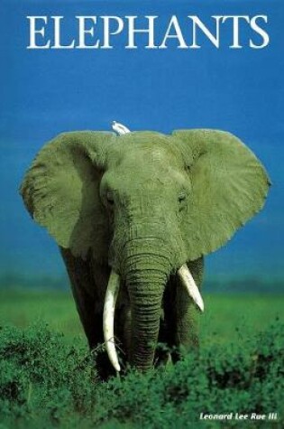 Cover of Elephants