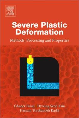 Book cover for Severe Plastic Deformation