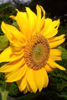 Book cover for Tall Yellow Sunflower Flower Journal