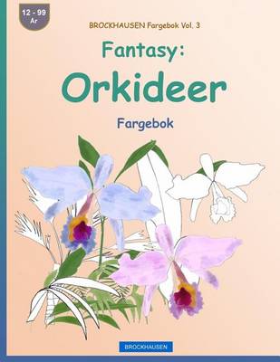 Book cover for BROCKHAUSEN Fargebok Vol. 3 - Fantasy