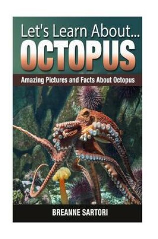 Cover of Octopus