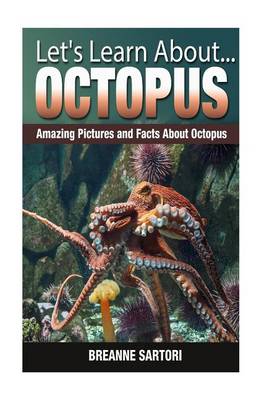 Book cover for Octopus