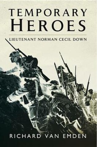 Cover of Temporary Heroes