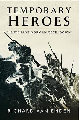 Book cover for Temporary Heroes