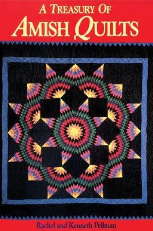 Cover of Treasury of Amish Quilts