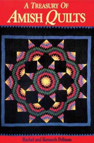 Cover of Treasury of Amish Quilts