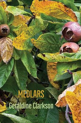Book cover for Medlars