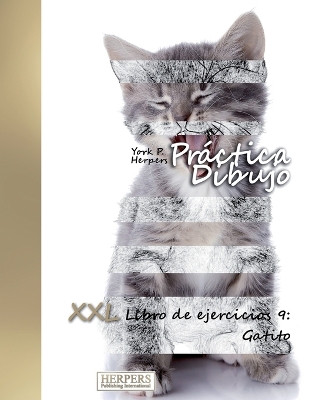 Cover of Práctica Dibujo - XXL Libro de ejercicios 9
