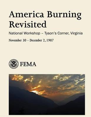 Book cover for America Burning Revisited