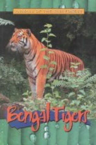 Cover of Bengal Tigers