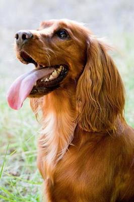 Book cover for The English Cocker Spaniel Dog Journal