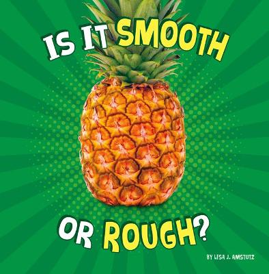 Book cover for Is It Smooth or Rough?