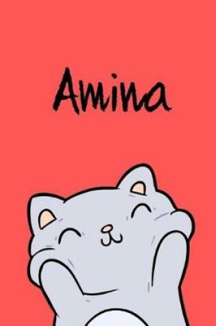 Cover of Amina