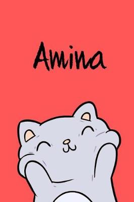 Book cover for Amina