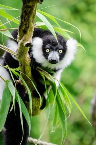 Cover of Cute Black and White Ruffed Lemur Animal Journal