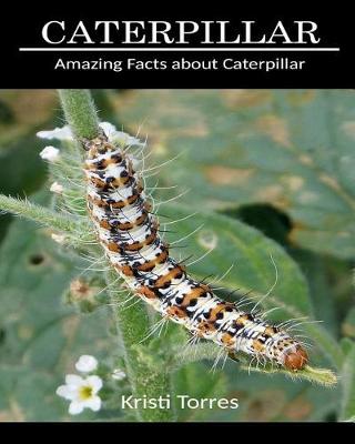 Book cover for Amazing Facts about Caterpillar