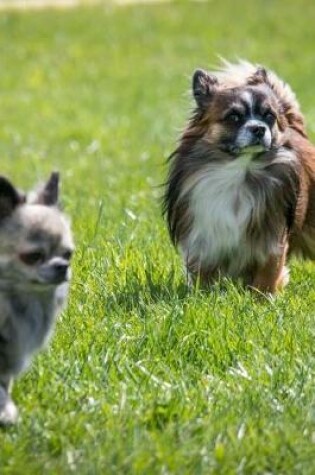 Cover of Chihuahua Dogs Playing in the Grass Journal