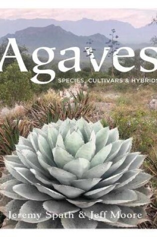 Cover of Agaves: