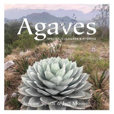 Book cover for Agaves: