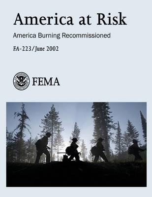 Book cover for America at Risk