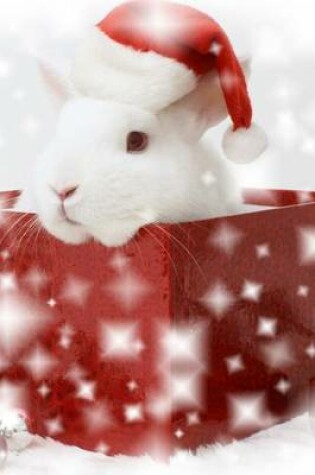 Cover of A Cute Bunny Sitting in a Christmas Gift Box