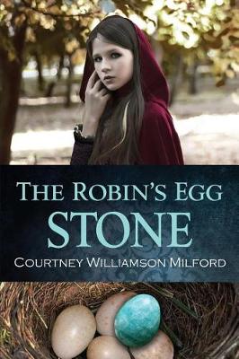 Book cover for The Robin's Egg Stone