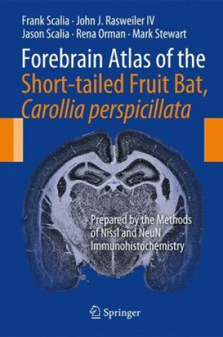 Cover of Forebrain Atlas of the Short-tailed Fruit Bat, Carollia perspicillata