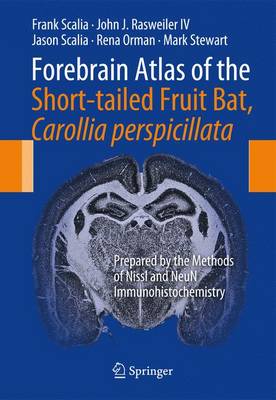 Book cover for Forebrain Atlas of the Short-tailed Fruit Bat, Carollia perspicillata