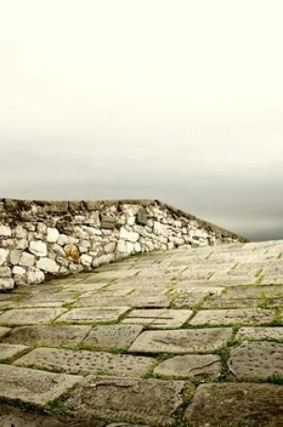 Cover of A Foggy View from Atop the Great Wall of China