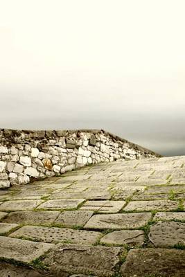 Book cover for A Foggy View from Atop the Great Wall of China