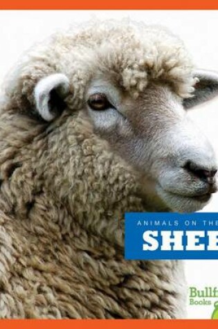 Cover of Sheep