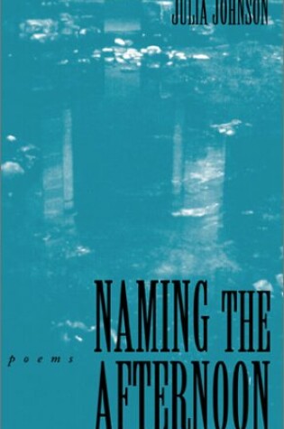 Cover of Naming the Afternoon