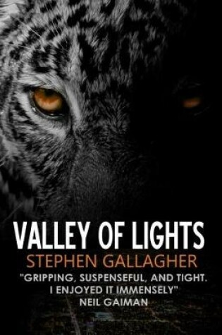 Cover of Valley of Lights