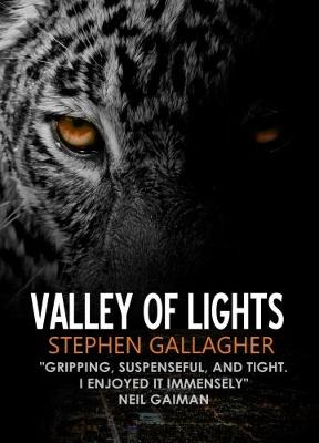 Book cover for Valley of Lights