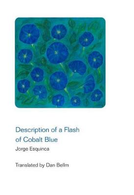 Book cover for Description of a Flash of Cobalt Blue