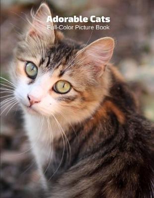 Book cover for Adorable Cats Full-Color Picture Book
