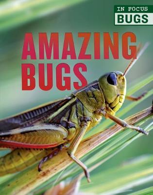 Cover of Amazing Bugs
