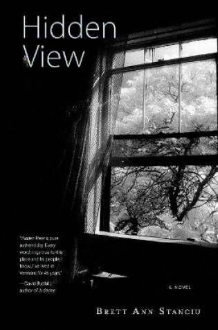 Cover of Hidden View