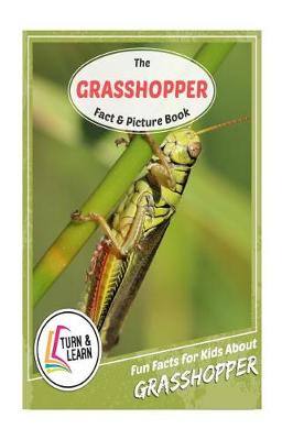 Book cover for The Grasshopper Fact and Picture Book