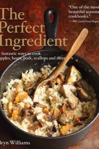 Cover of The Perfect Ingredient